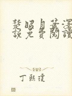 楚昭月萧泽安小说免费阅读最新章节