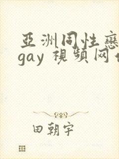 亚洲同性恋男 gay 视频网站