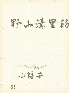 野山沟里的村庄