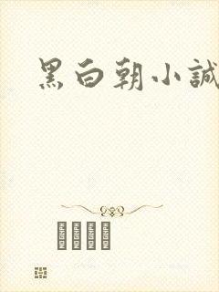 黑白朝小诚封面