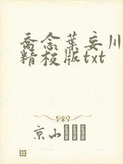 乔念叶妄川完整精校版txt封面