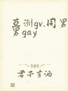 亚洲gv.同男男gay