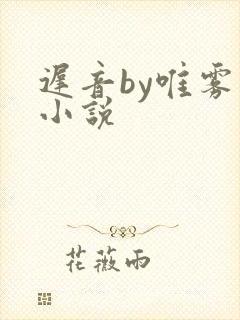 迟音by唯雾的小说