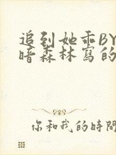 追到她乖BY黑暗森林写的小说封面