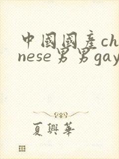 中国国产chinese男男gay gay网站