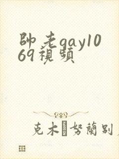 帅老gay1069视频