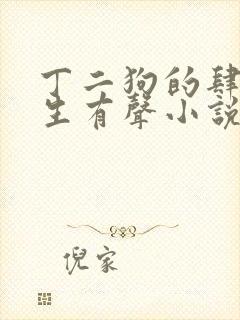 丁二狗的肆意人生有声小说