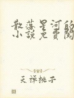 散落星河的记忆小说免费阅读全文