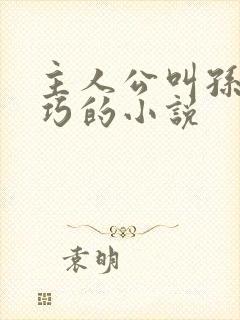 主人公叫孙哲叶巧的小说