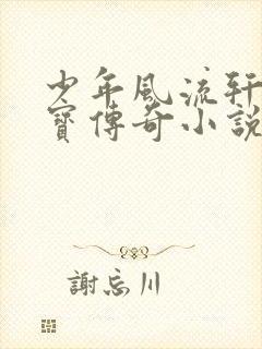 少年风流轩辕大宝传奇小说