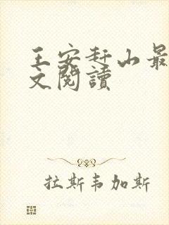 王安赶山最新全文阅读