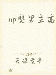 np双男主高h封面
