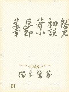 叶辰萧初然最新章节小说免费阅读无弹窗