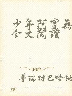 少年阿宾无删减全文阅读