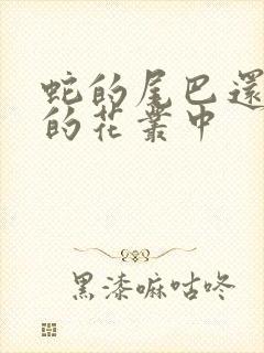 蛇的尾巴还在我的花丛中