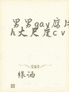 男男gay腐片h大尺度cⅴ小蓝