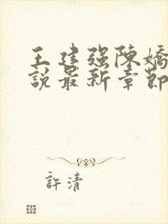 王建强陈娇娇小说最新章节