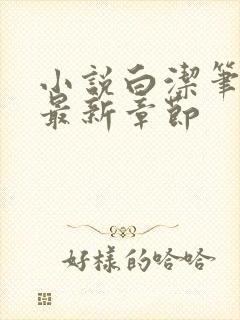 小说白洁笔趣阁最新章节