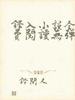 锋入小说全文免费阅读无弹窗封面