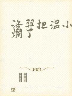 洛羿把温小辉做烂了封面