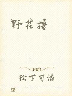 野花撸封面