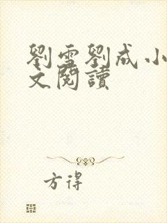 刘雪刘成小说全文阅读