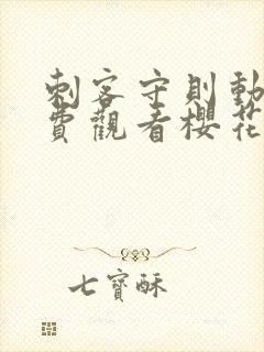 刺客守则动漫免费观看樱花动漫