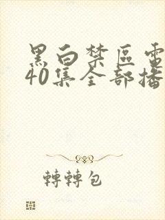 黑白禁区电视剧40集全部播放