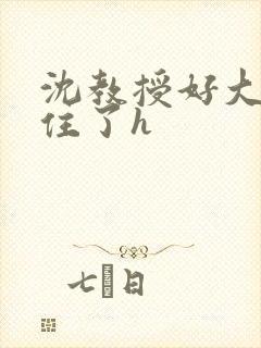 沈教授好大含不住了h