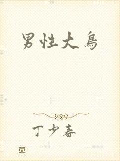 男性大鸟