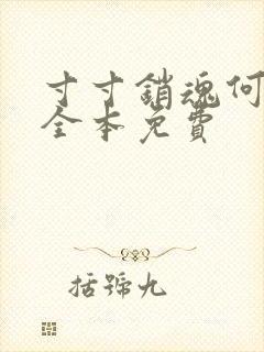 寸寸销魂何生祥全本免费