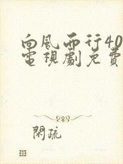 向风而行40集电视剧免费看全集