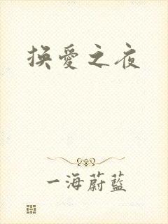换爱之夜