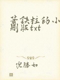 萧铁柱的小说未删版txt