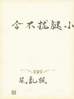 合不拢腿小说