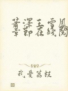 萧泽王雪凤全部章节在线阅读小说