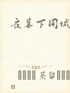 夜幕下同城网
