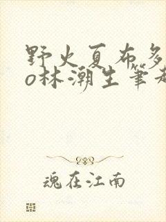 野火夏布多昂po林潮生笔趣阁