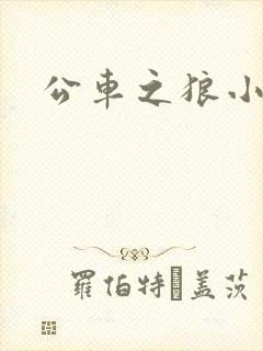 公车之狼小说