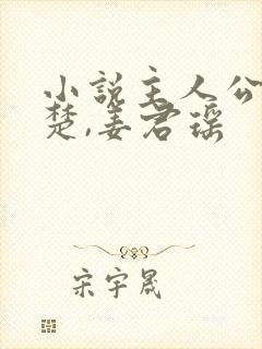 小说主人公叫叶楚,姜君瑶