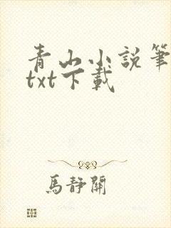 青山小说笔趣阁txt下载