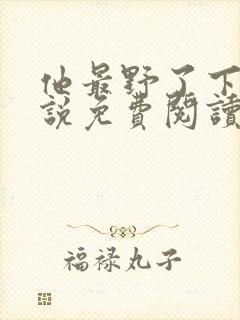 他最野了下册小说免费阅读