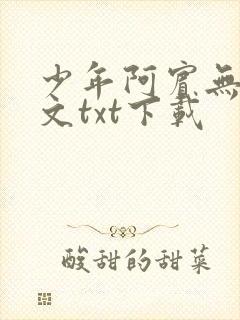 少年阿宾无删全文txt下载
