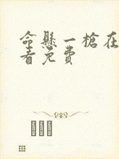 命悬一枪在线观看免费