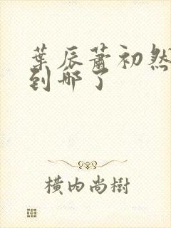 叶辰萧初然更新到哪了封面