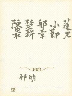 陈楚那小莲小说最新章节免费阅读封面