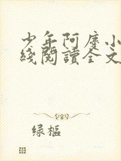 少年阿庆小说在线阅读全文