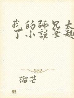 我的师兄太稳健了小说笔趣阁