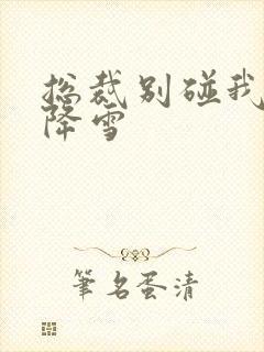 总裁别碰我 韩降雪