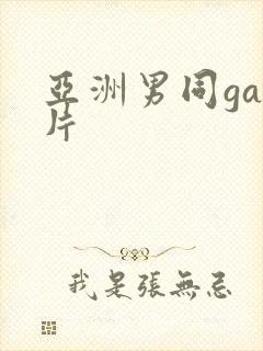 亚洲男同gay片封面